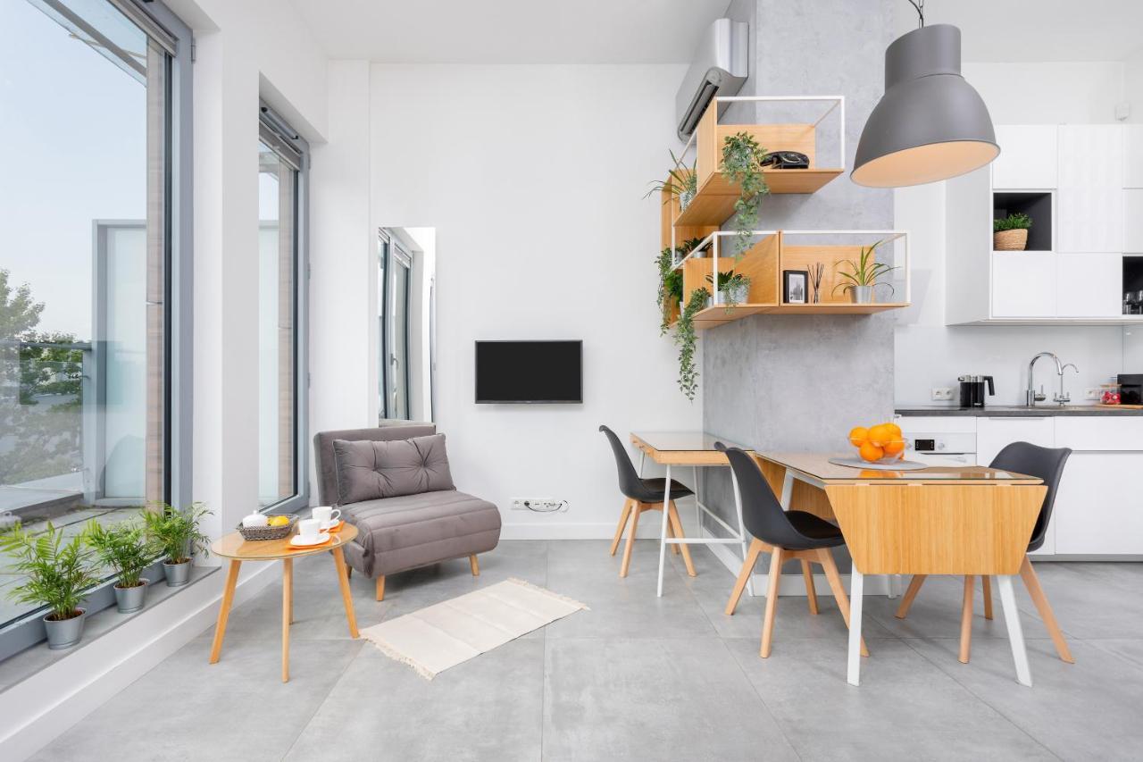 Apartment Loft