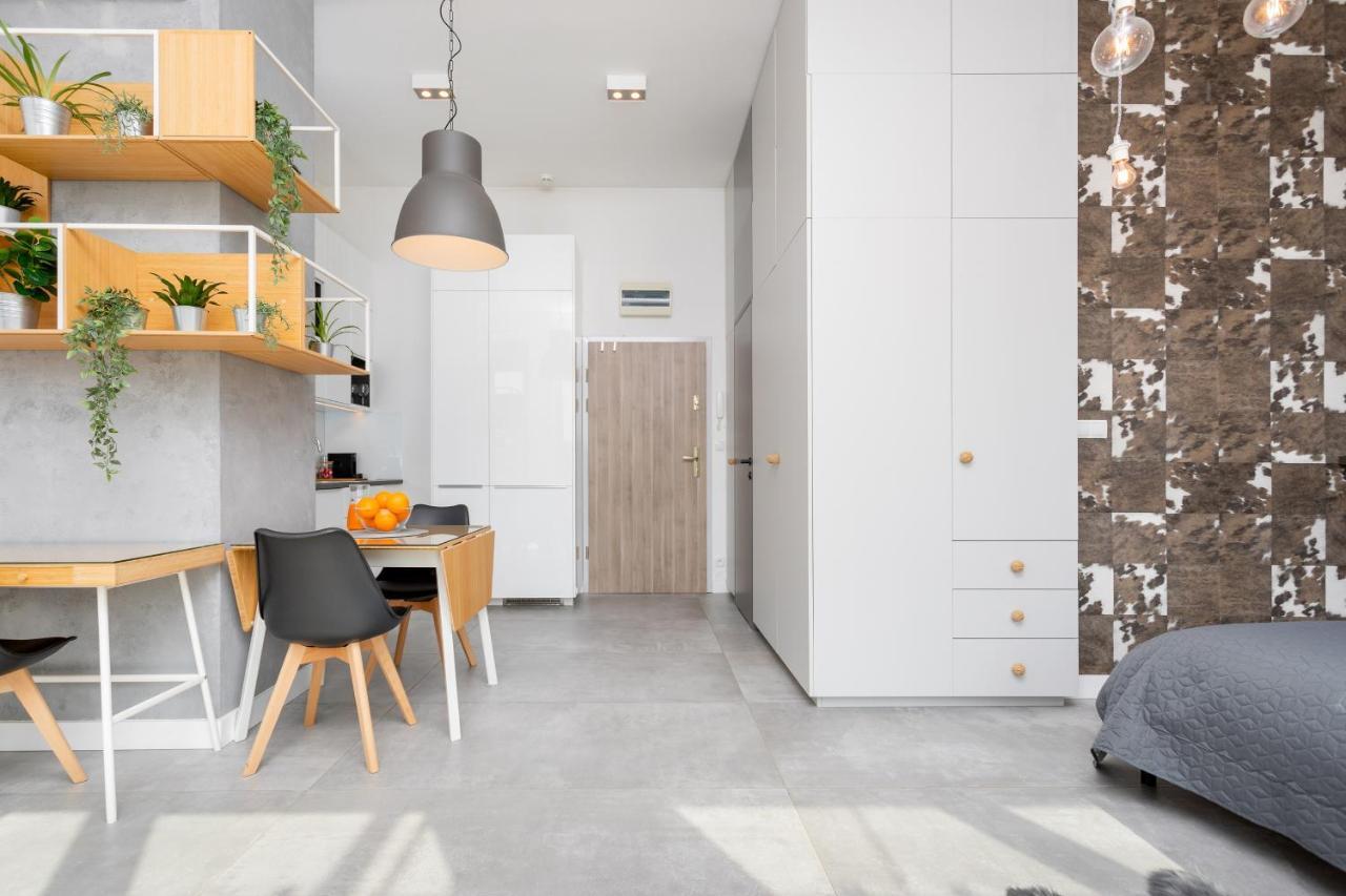 Apartment Loft