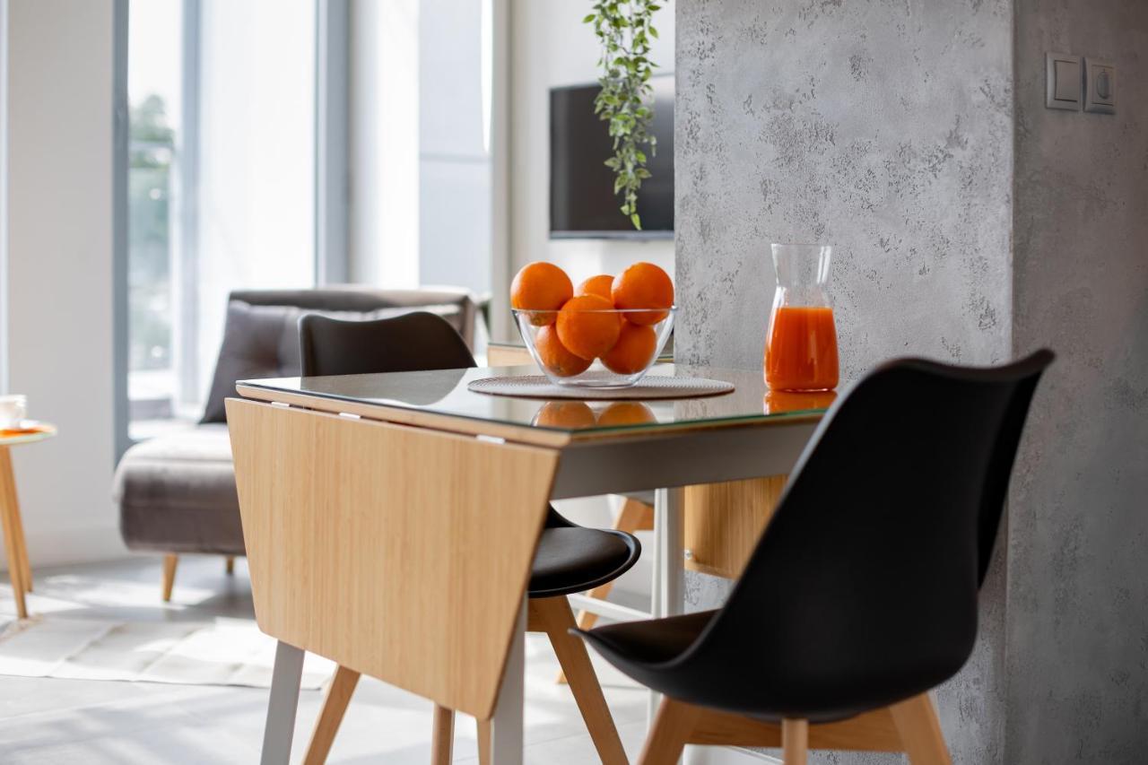 Apartment Loft Krakau