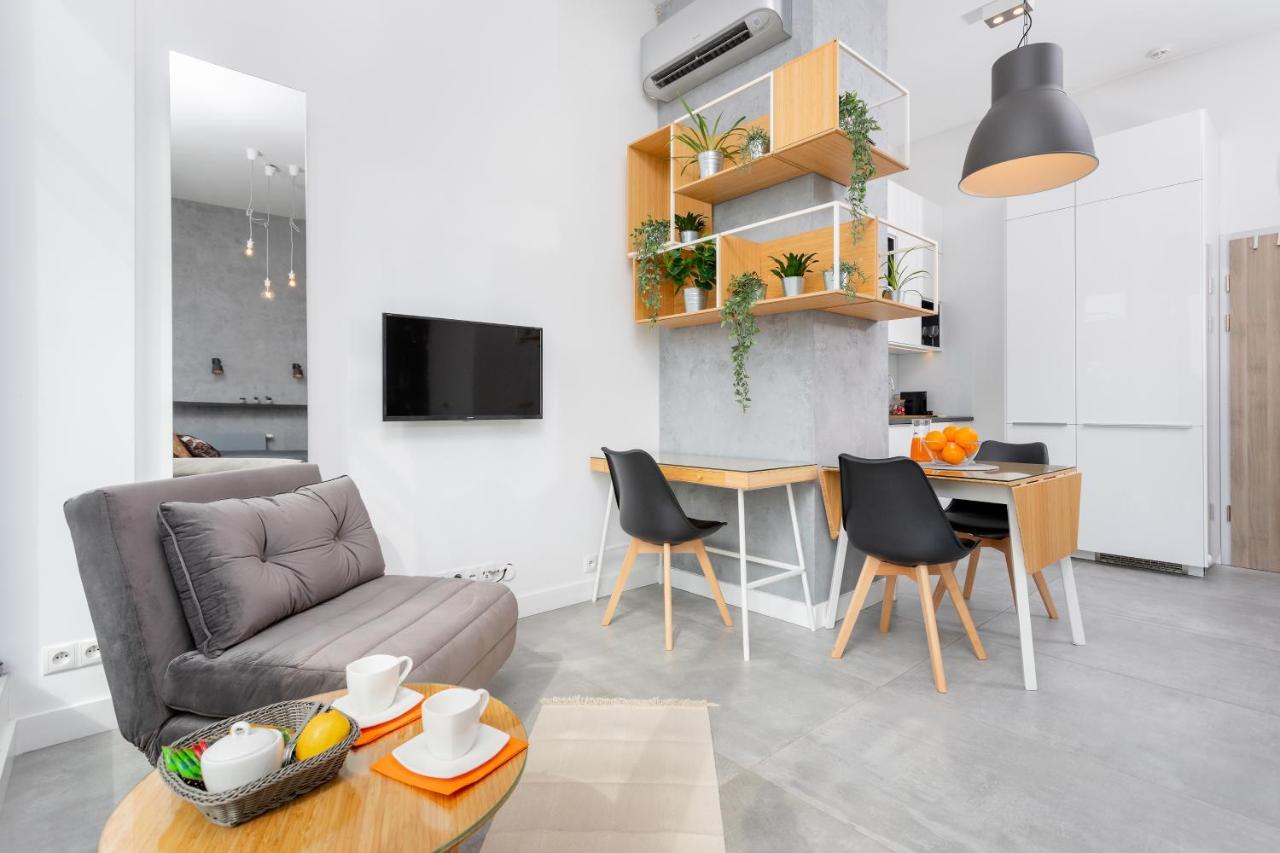 Apartment Loft Krakau